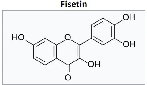 Natural Fisetin no CAS 528-48-3 Cotinus Coggygria 50% 98% Fisetin