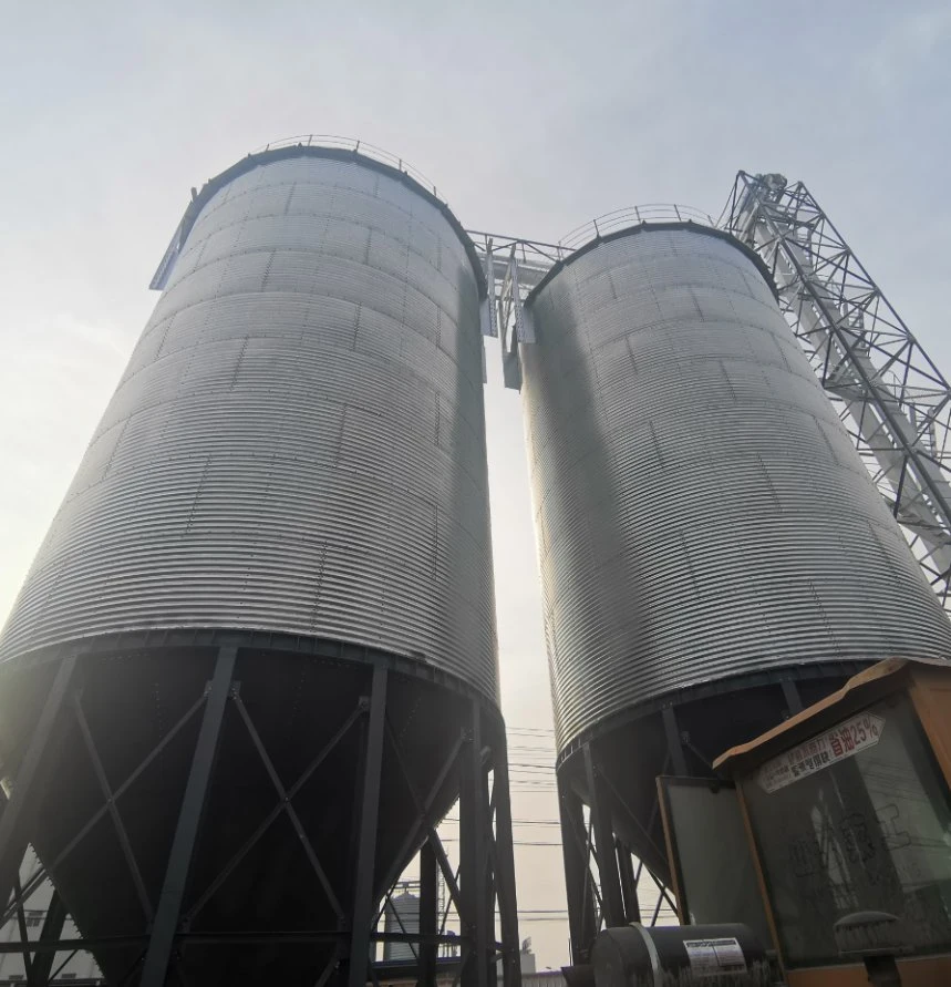 La parte inferior de la tolva de trigo el maíz grano de arroz paddy Silo precio de fábrica de acero para la venta