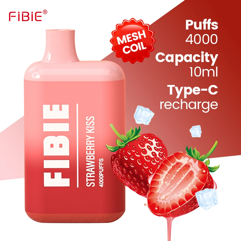 Wholesale/Supplier Shenzhen Puff Rechargeable Vape Pen Lost Elf Mary Randm Germany France Saudi Arabia Ebay Best Price Online Free Shipping Disposable/Chargeable Mini E Cig