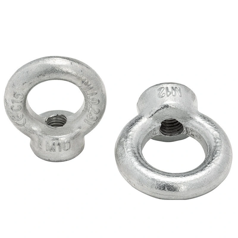 Wholesale/Supplier High quality/High cost performance  Hardware Tools DIN582 Eye Nut