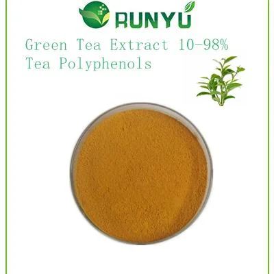 Grüner Tee Extrakt CAS 84650-60-2 10-98% Tee Polyphenole