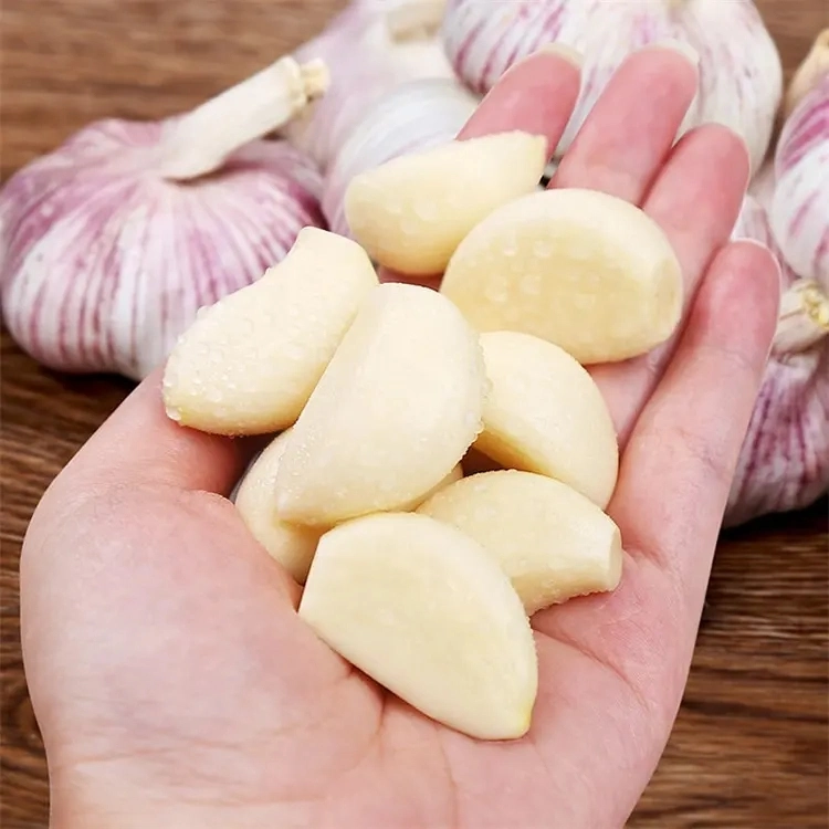 2023 Newest Crop of Garlic Import Chinese Garlic