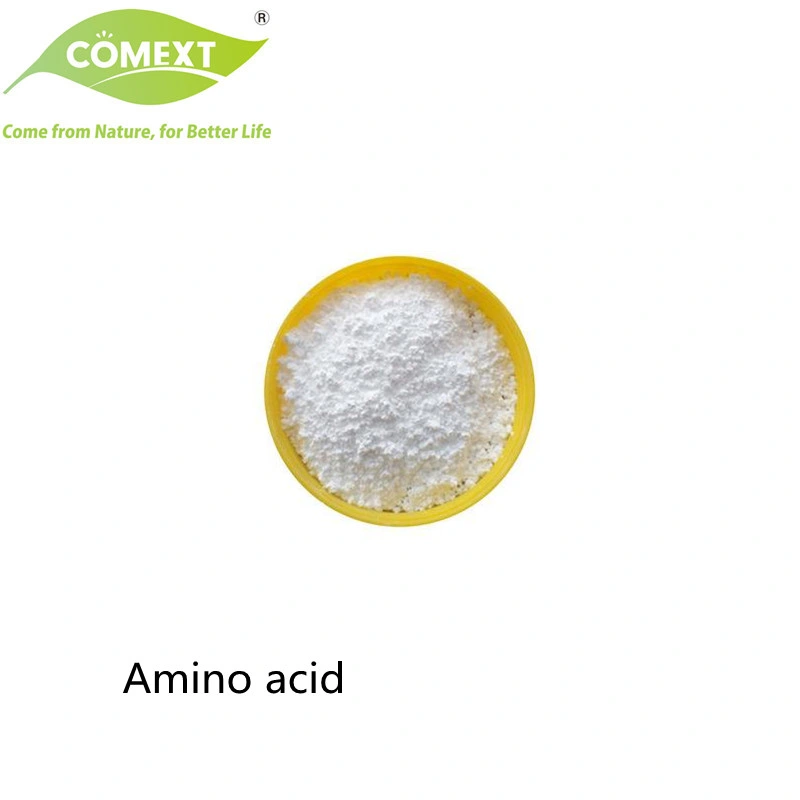 Comext Manufacturer Food and Pharma Grade Branched Chain Amino Acid (BCAA)