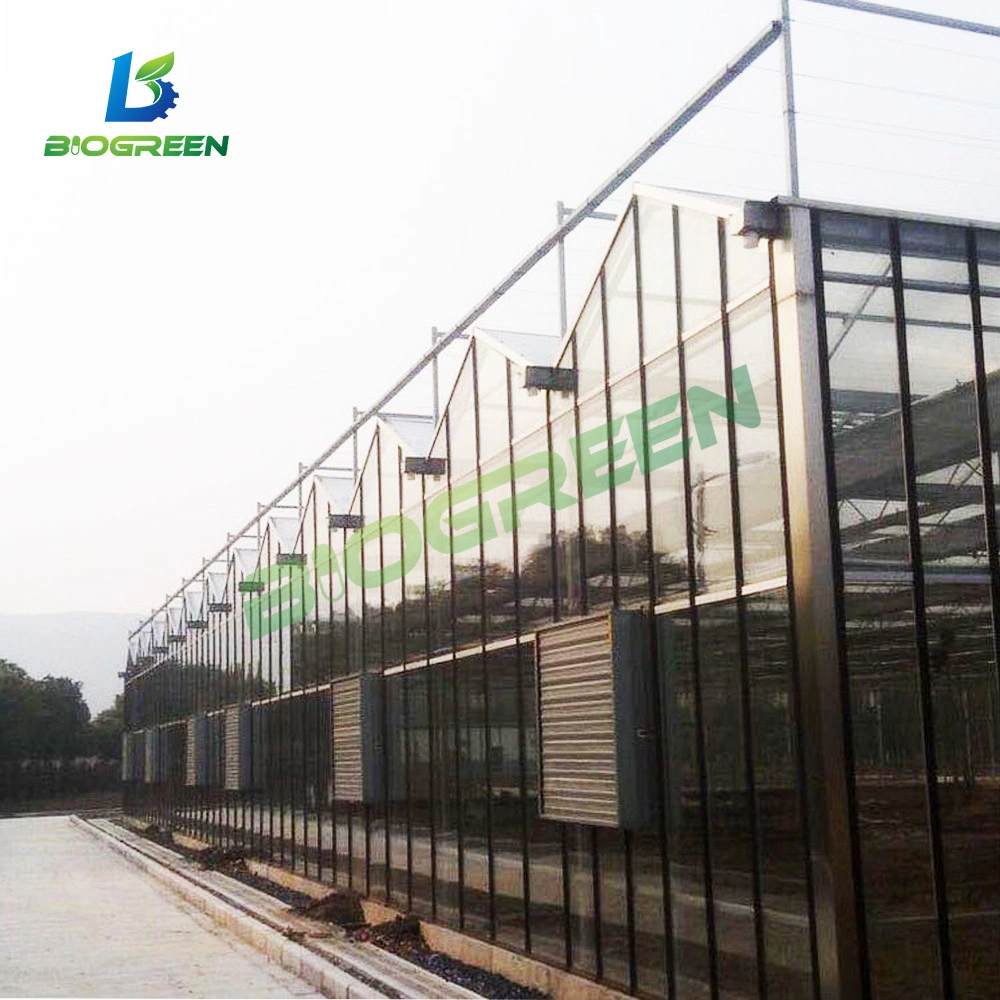 China Supplier Cheap Price Tunnel Greenhouse