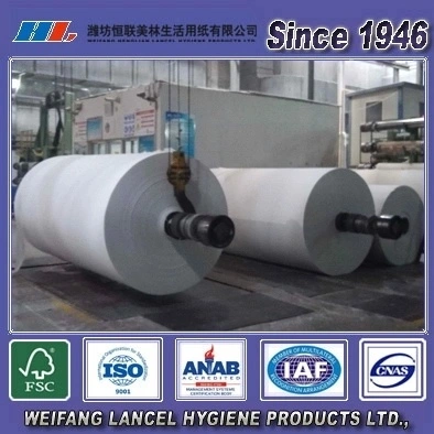 Hot Sale Tissue Jumbo Roll Price Cost Raw Material for Making Toilet Paper