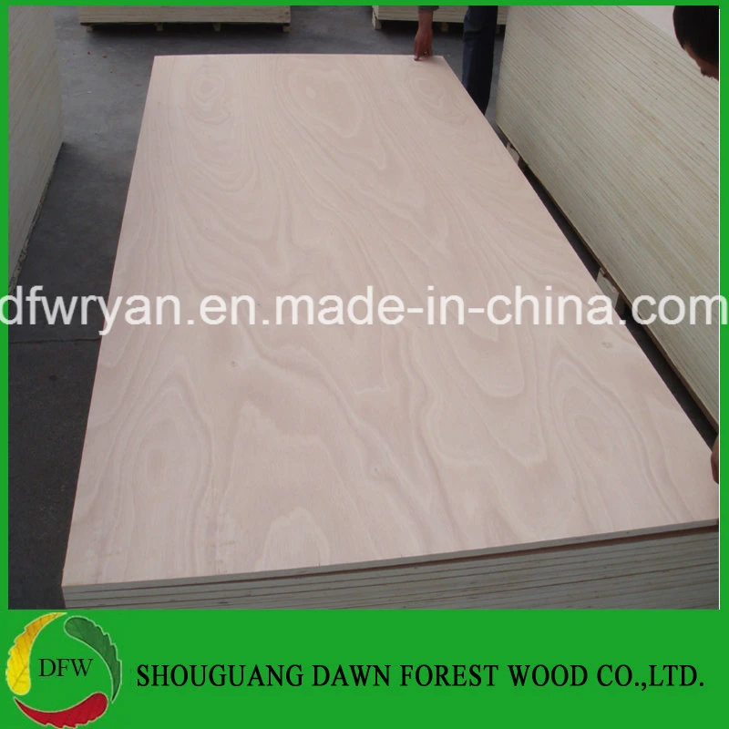 Okoume/Bintangor Veneered Poplar Timber Commercial Plywood