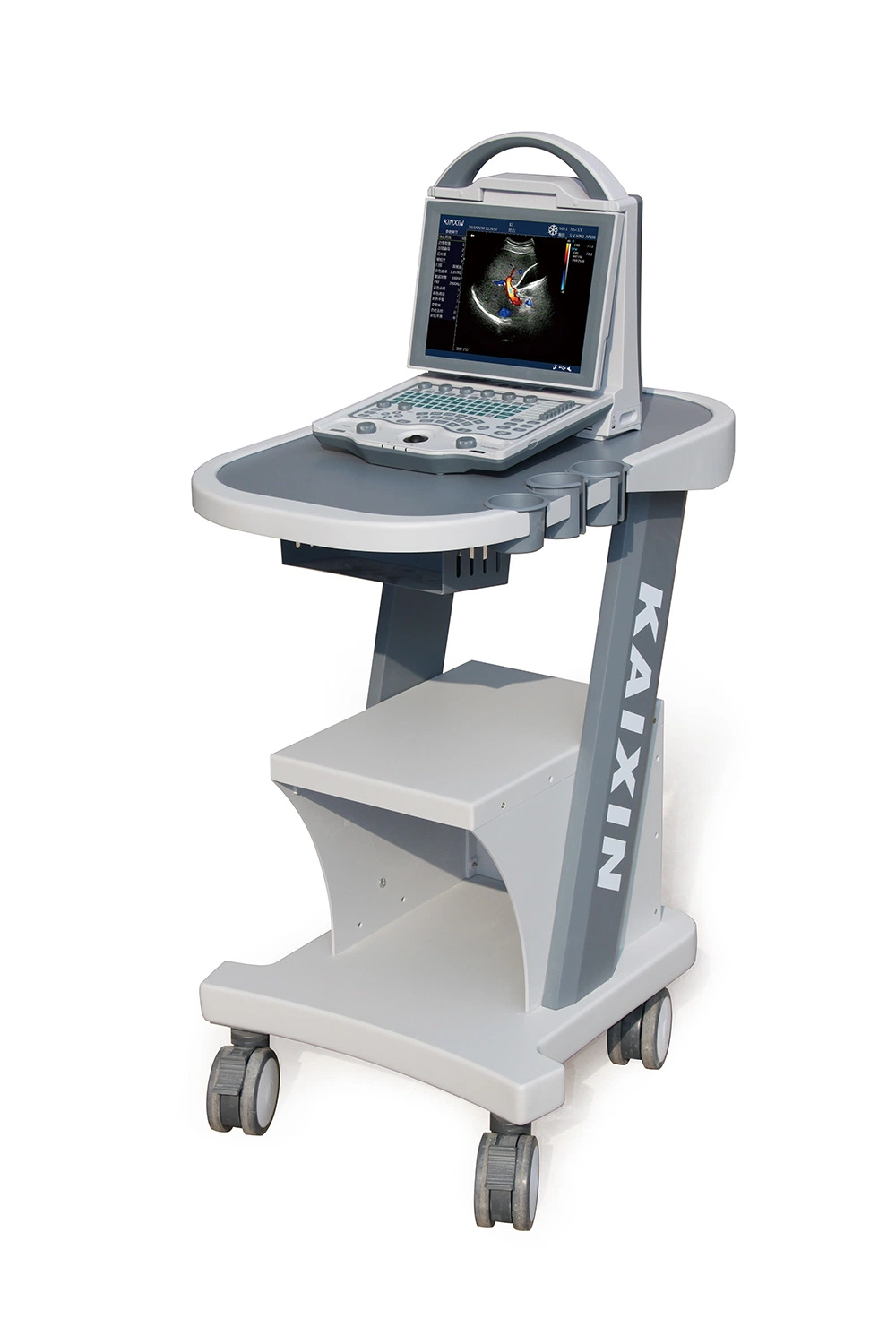 Factory Direct Supplier Digital Color Portable Vet Doppler Veterinary Ultrasound Scanner