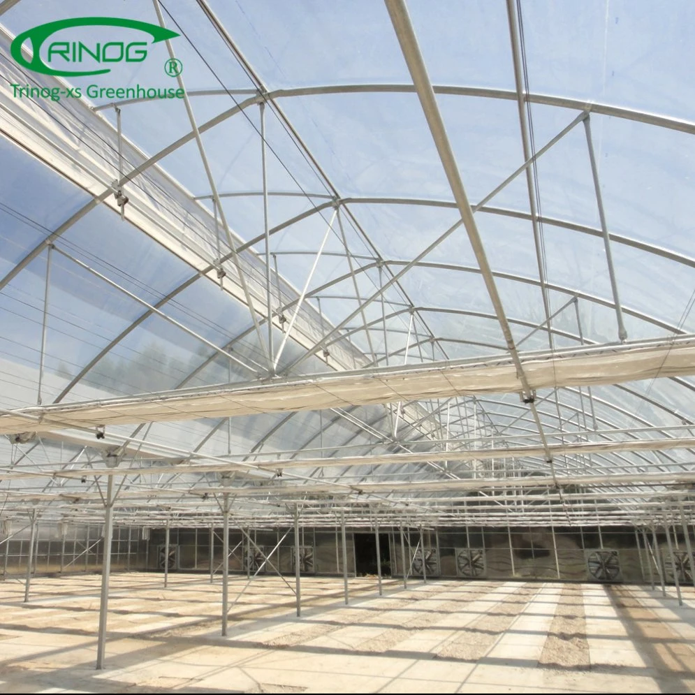 South Africa plastic film arch greenhouse for nursery young plant