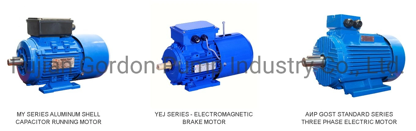 Y2 Series Medium-Sized Low-Voltage Three-Phase Asynchronous Motors