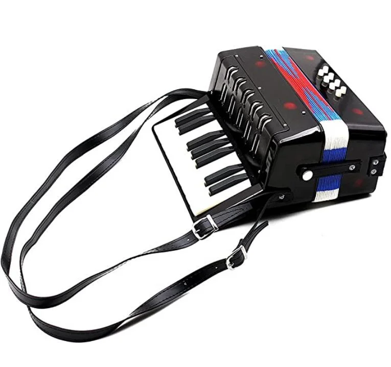 Amazon-17 Key 8 Bass Mini Small Toy Piano Accordion Kids Children Educational Musical Instrument, Gift with Color Box