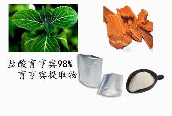 E. K Herb ISO China Factory100% natürliche Rohstoffe Yohimbin Verbesserung der männlichen Gesundheit CAS 65-19-0 natürliche Yohimbin Pulver Bodybuilding ergänzt Yohimbin