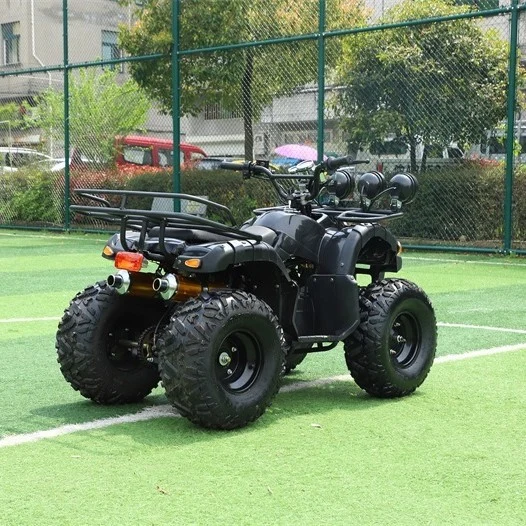 4X4 250cc 125cc Quad 500cc ATV/UTV Parts 400cc off Road 800cc Trailer 200cc Rear Axle Tires Bike Farm Kids ATV