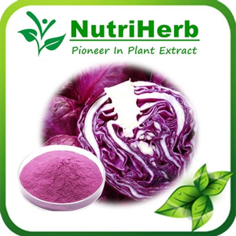 Food Color Red Cabbage Color Powder, Red Cabbage Extract for Bakery, Smoothie Health Food Cabbage