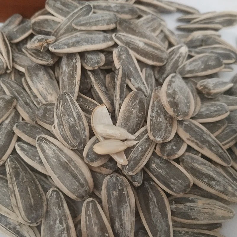 China Kuaci Nuts Factory Process Dried Spicy Taste Salted Roasted Sunflower Seeds