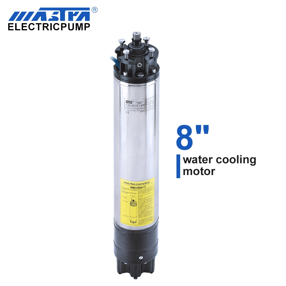 Deep Well Water Pump Electric Submersible Motor