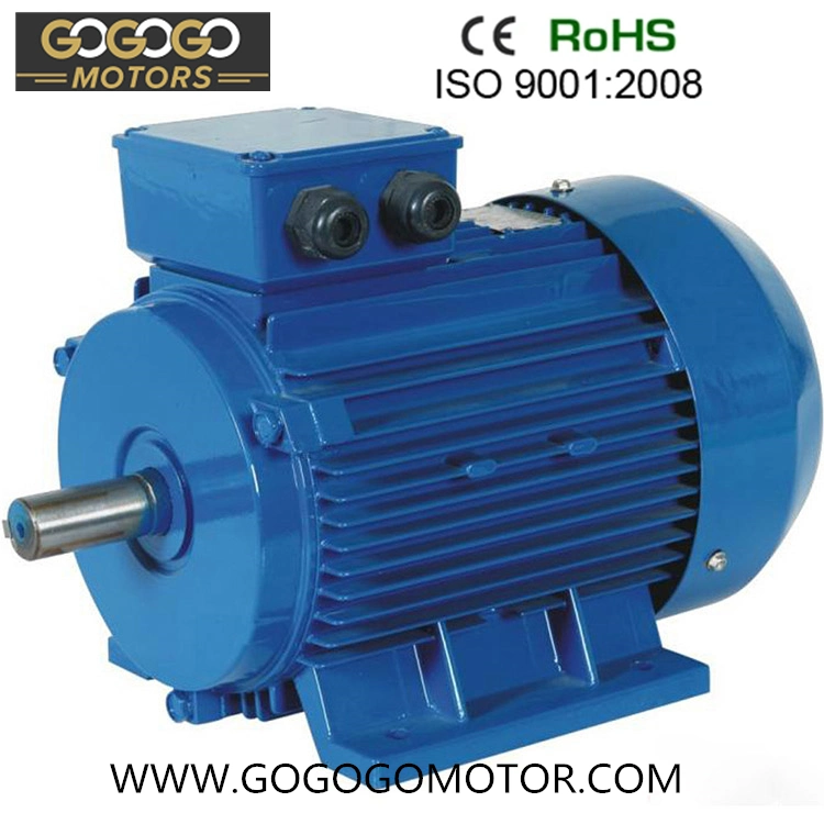 CE 50Hz 60Hz Ie2 Ie3 Y2 Y Ms Yb2 Yd Yej Yct High Power Induction Electric Motor IP55 for Fan Blower Compressor Pump Gearbox (0.18KW-315KW)