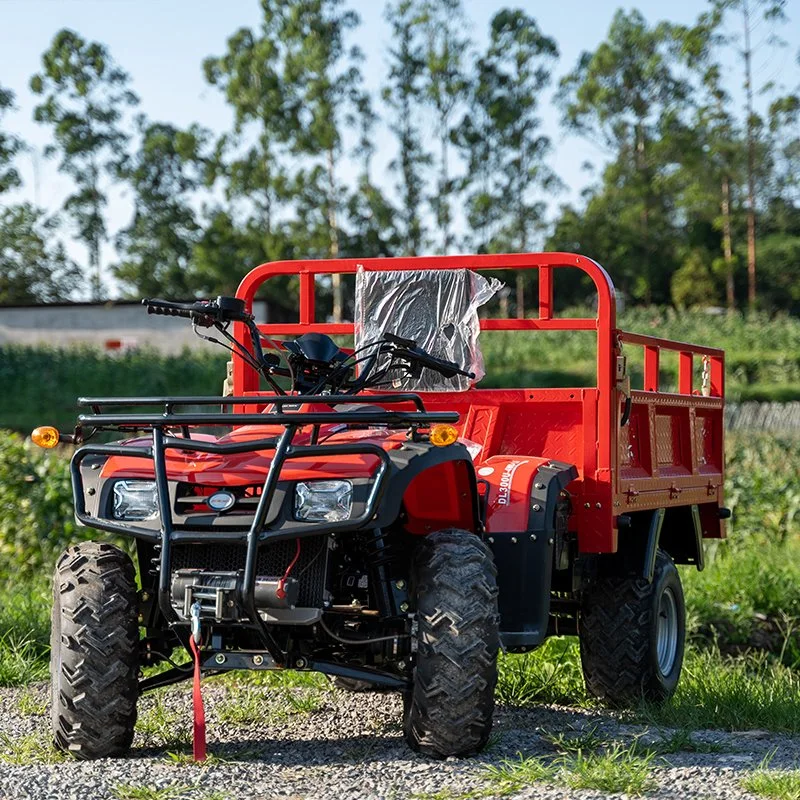 Max. Speed 65km/H Four Wheeler 250cc 300cc 4X2 Beach Buggy