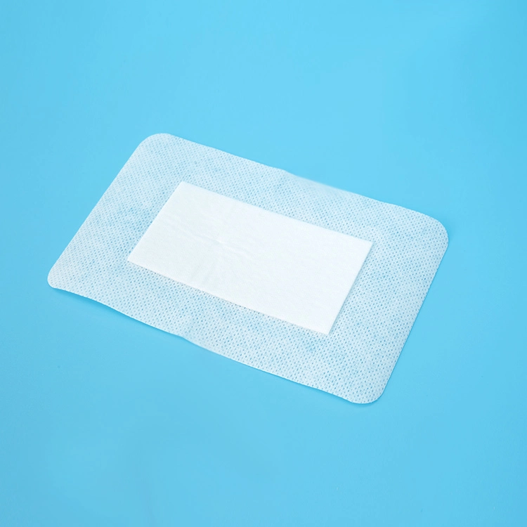 Disposable Sterile Surgical Adhesive 10X10cm Non Woven Wound Care Dressing