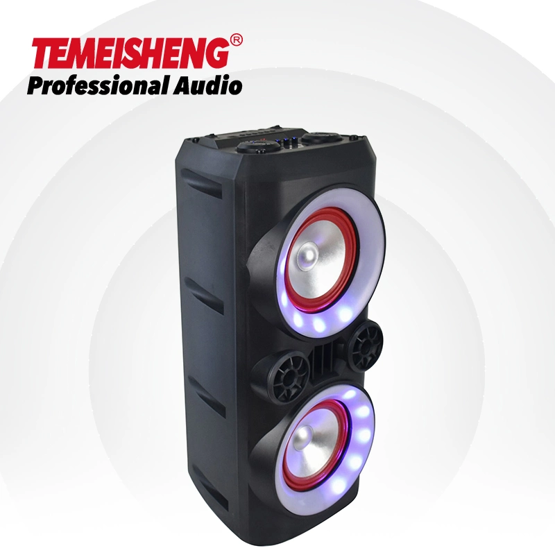 Temeisheng TMS-608 Nouveau produit Haut-parleur multifonction DJ Lights Haut-parleur mobile Enceinte TWS Box