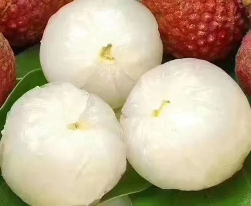 Frozen Peeled Litchi Frozen Tropical Fruits Lychee