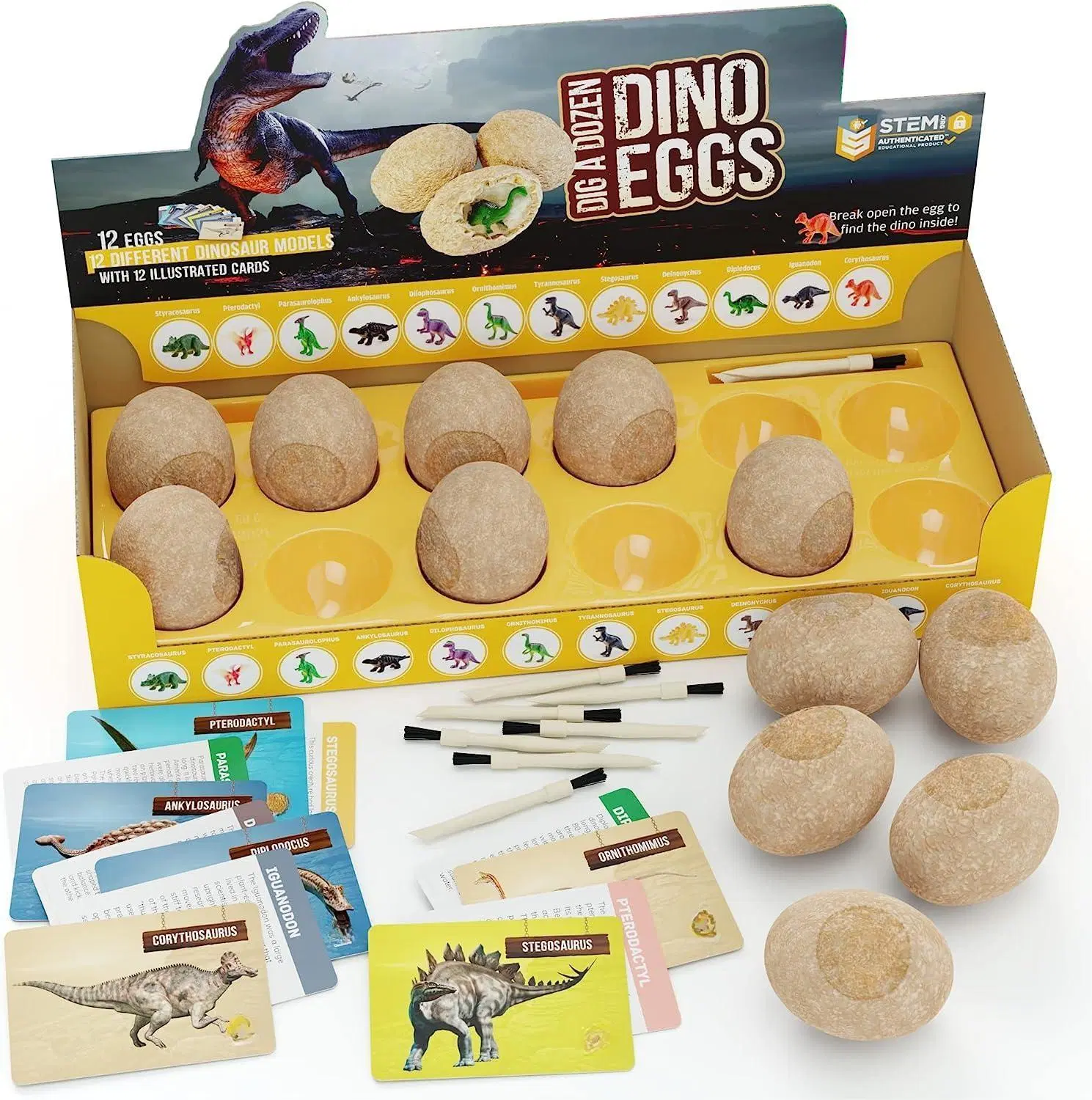 Educação parte dos brinquedos dons surpresa dinossauros Ciência Actividades Estaminais 12 Ovos de Páscoa brinquedo