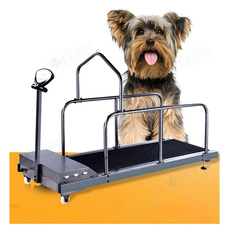 Factory Price Dog Training Treadmill for Dog Running Dog Walking Treadmill