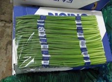 China Young Garlic Shoot, 250g One Bundle