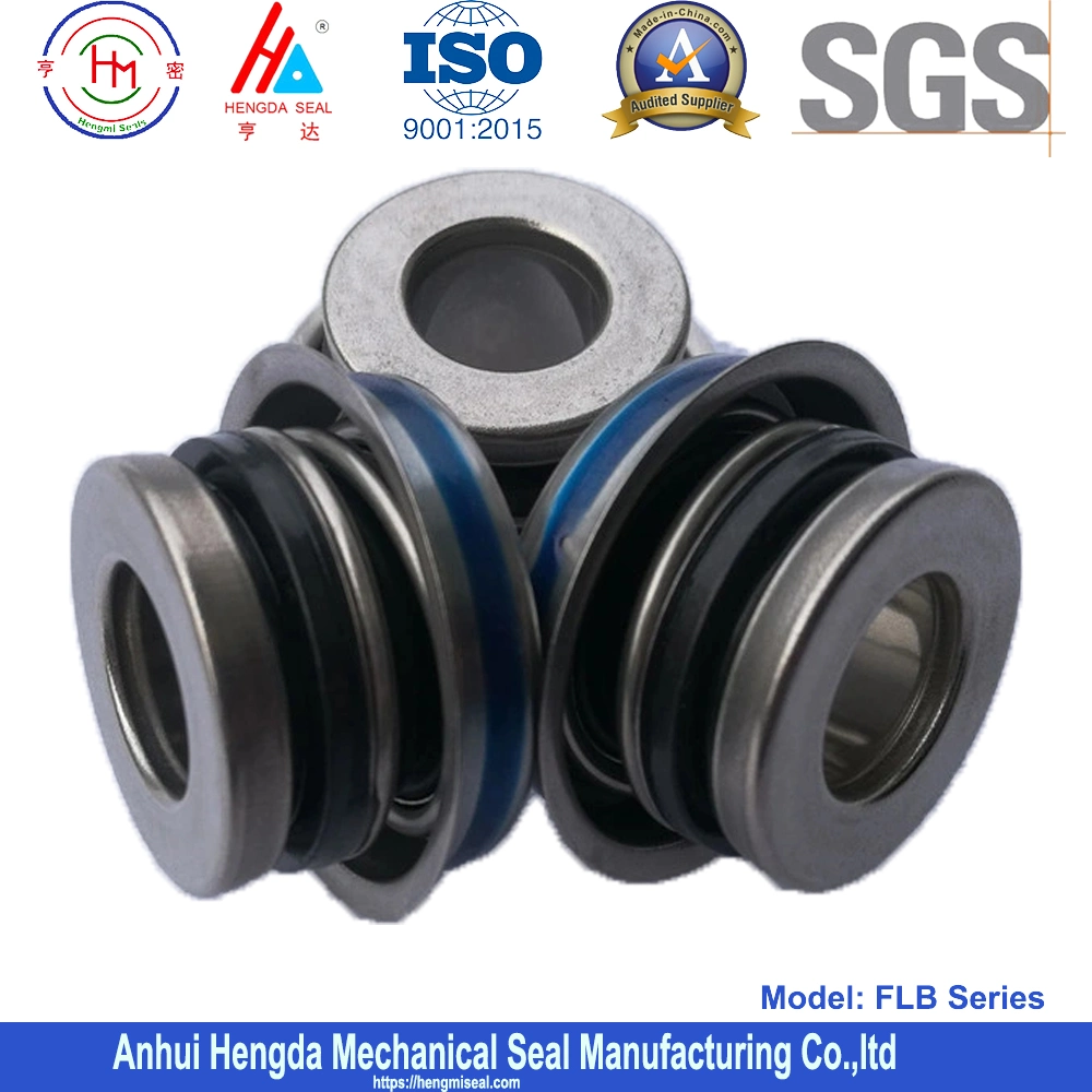 Fbwe Umbra Ugg Ugh Mechanical Seal for Peugeot 405 Pump Seal, Mtu Ugh, Pg 405 Turbojoints