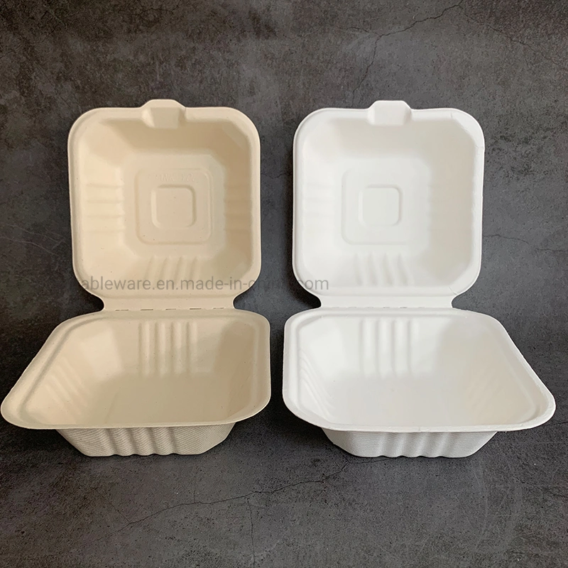 Ecofriendly 6X6inch Burger Sugarcane Bagasse Disposable Biodegradable Envases CT5 Takeaway Food Container