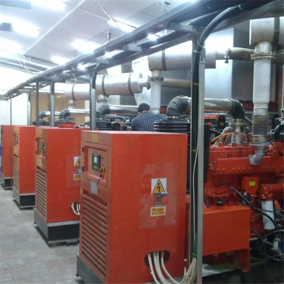 Natural Gas/Biogas Generator Set with Co-Generation Power Project