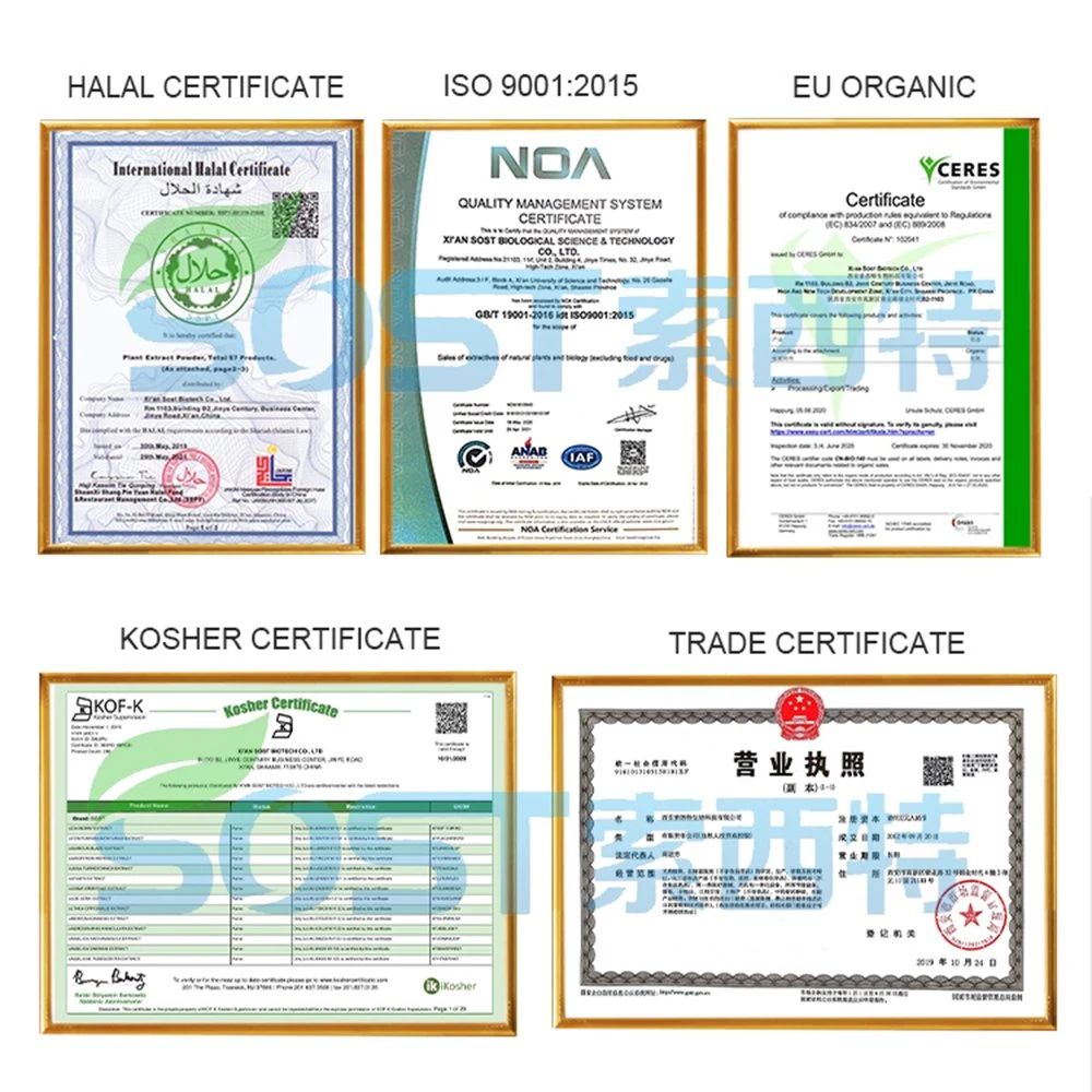 La certificación ISO puros y orgánicos de la UE Matricaria extracto vegetal