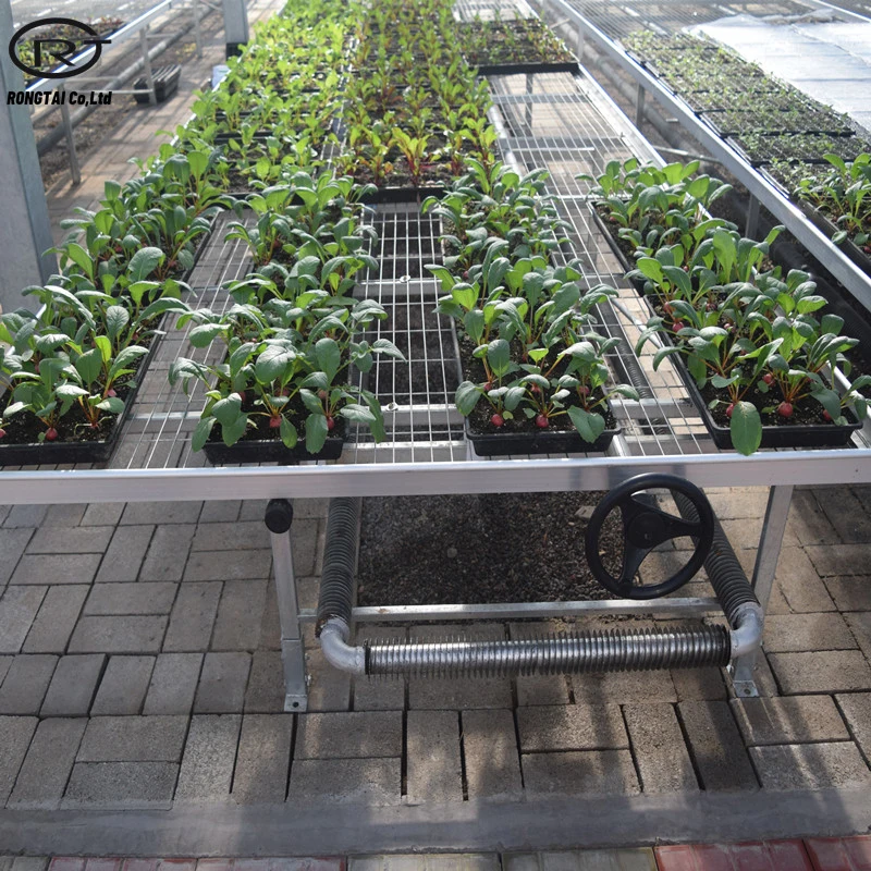 Hydroponics System Wire Mesh Rolling Table