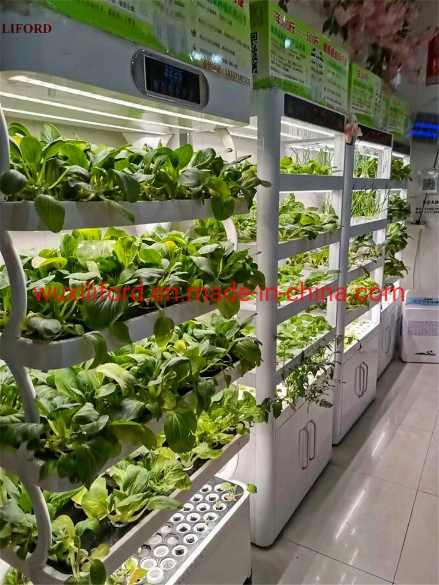 Indoor Plant Growing Hydroponics Growing Systems Greenhouse Vertical