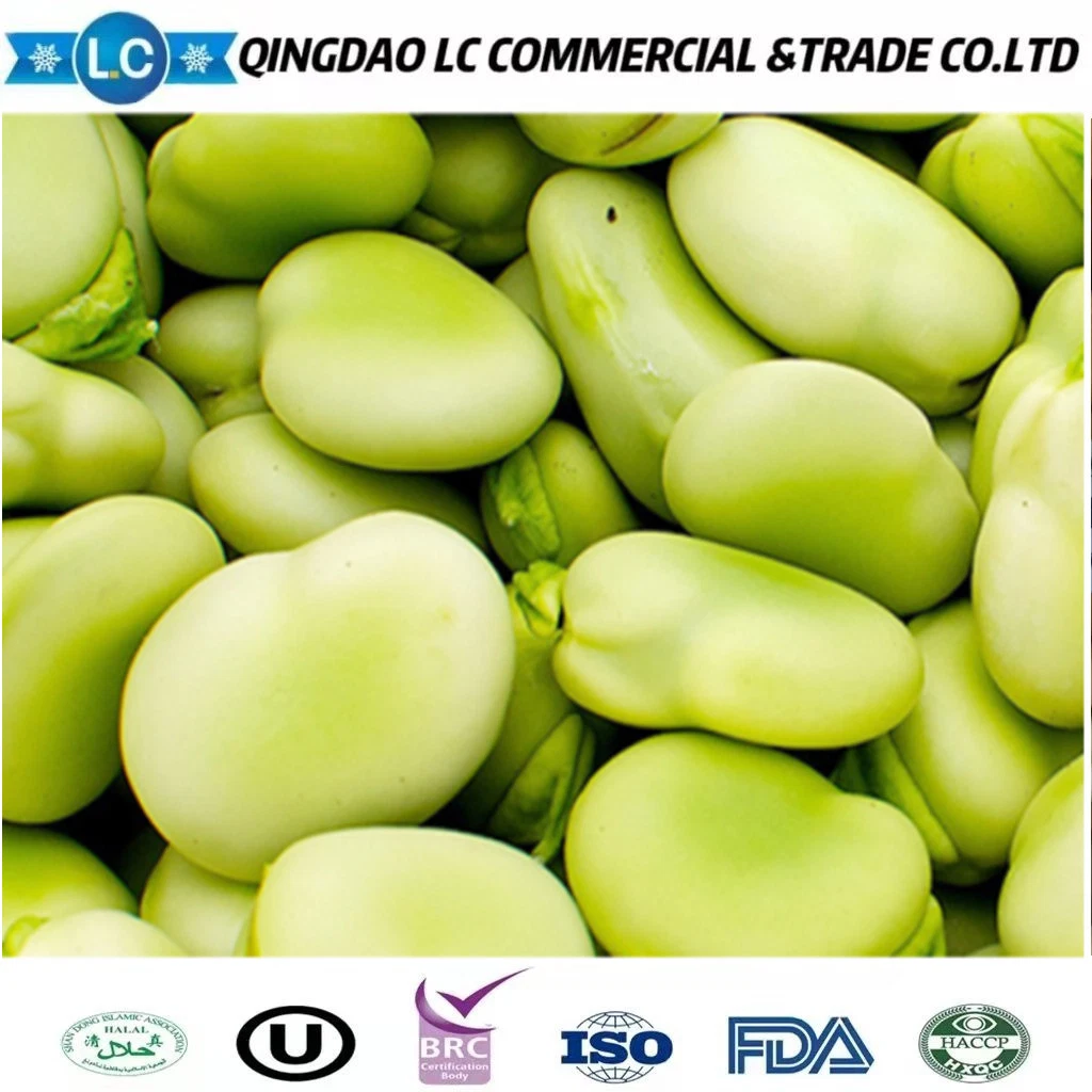 IQF Fresh Frozen Fava Peeled Broad Bean