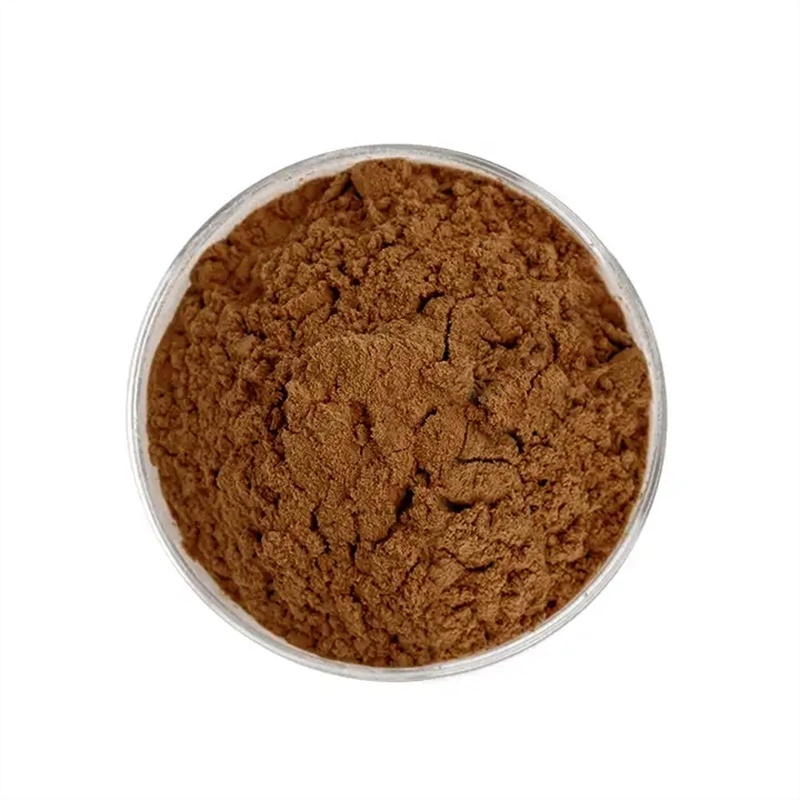 100% Pure Organic Powder Ganoderma Lucidum Granularity 40-80 Mesh Mushroom Extract Powder