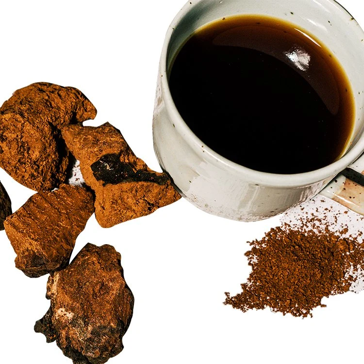 Organic Inonotus Obliquus Mushroom Fruiting Body Powder Chaga Mushroom Extract Chaga Extract Powder Water Soluble