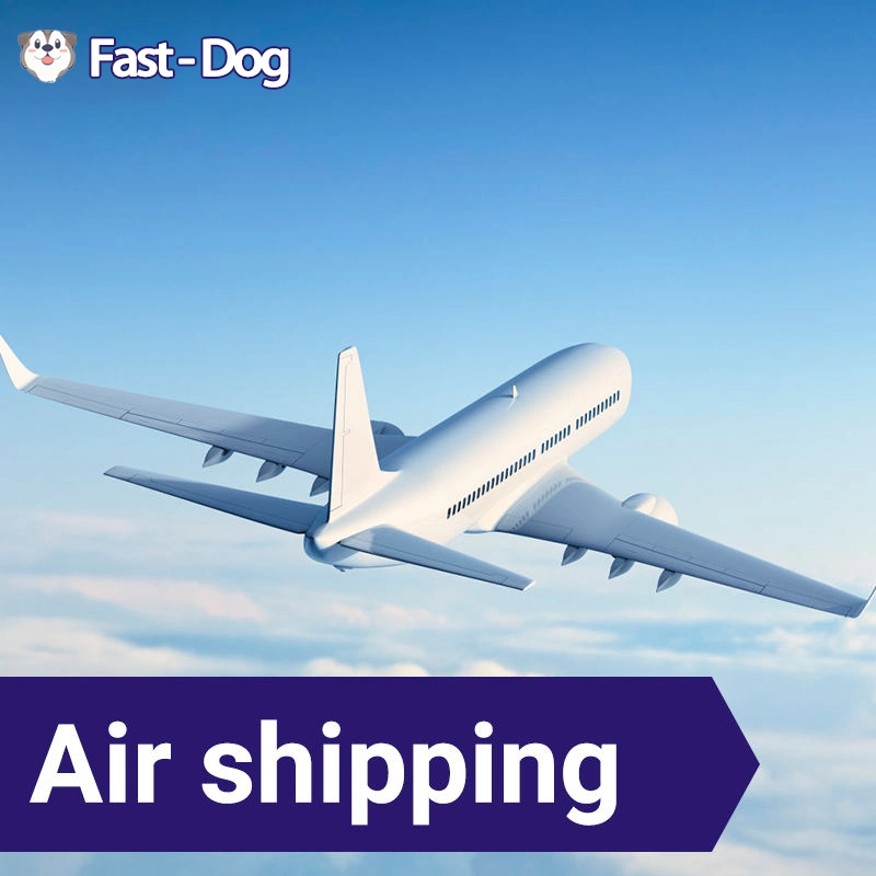 Freight Forwarder to USA/UK/Italy/France/Nl /Germany Fba Amazon by Air Freight Shipping From China DDP Door to Door Service