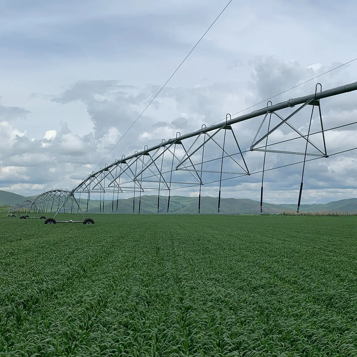 Central Pivot Sprinkler Irrigation Machinery for Large Corn Field