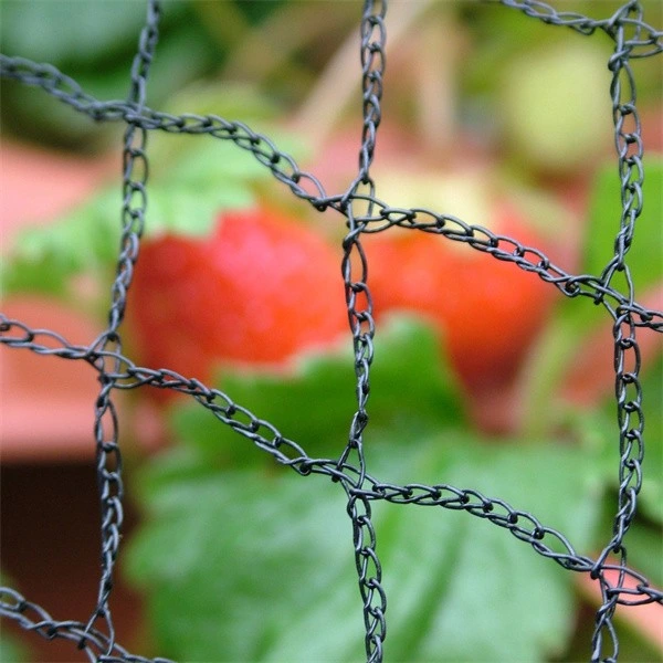 6,8 pés X 30 pés Anti Bird Netting Pond Net Proteja o seu Jardim legumes frutas plantas lagoas