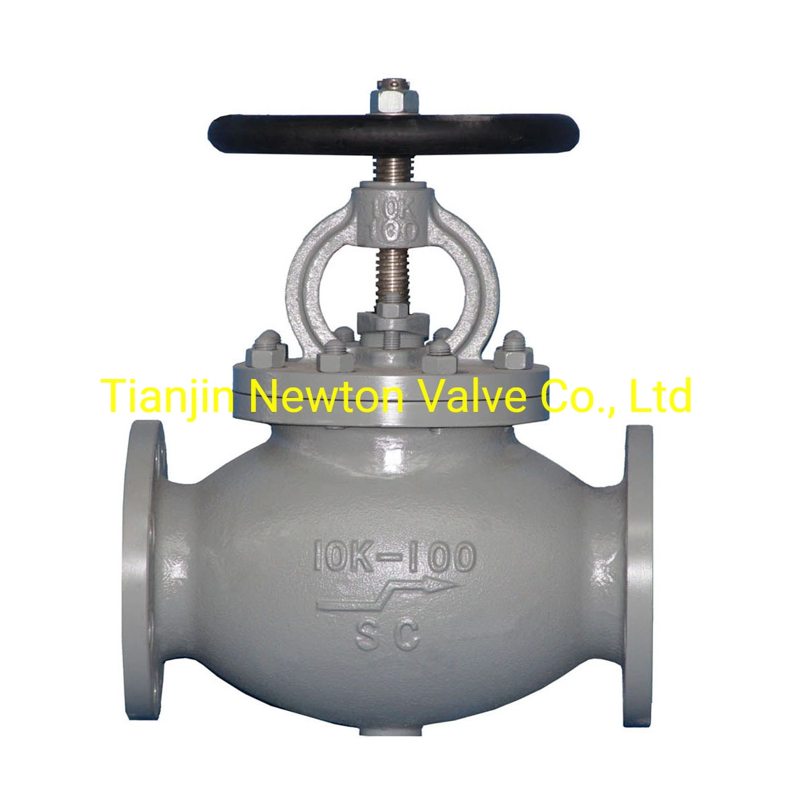 DIN JIS Metal Seat Ductile Cast Iron Double Flange Gate Globe Swing Check Valve Non-Return for Marine JIS5K 10K 16K for Marine Sea Water Steam Nrs OS&Y