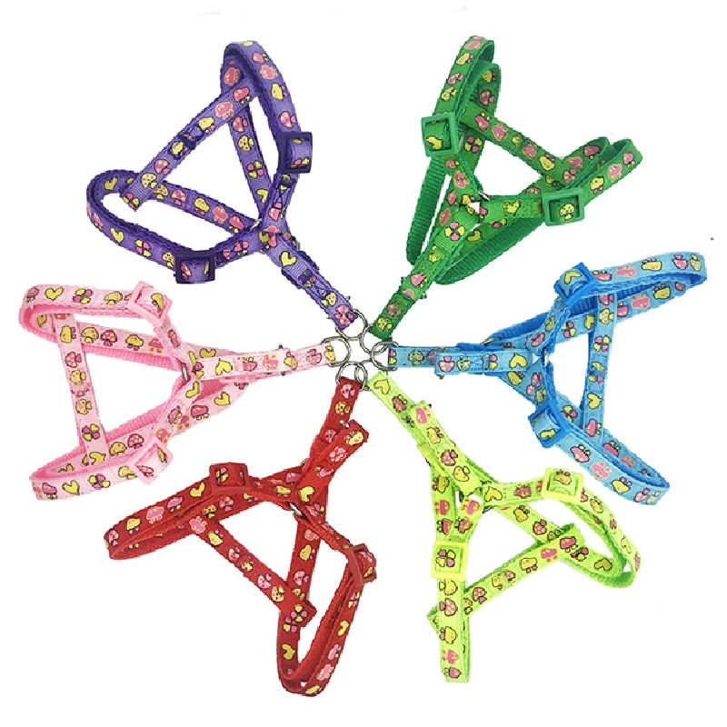 Verstellbarer Hundehalsband Mit Verstellbarem Kabelpet Leash Nylon Traction Seil Hund Fuß Halsband