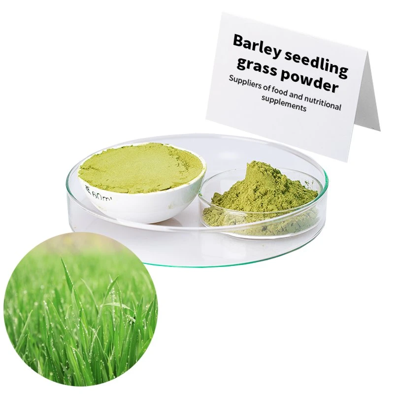 Add a Dash of Health to Your Recipes Barley Grass Powder