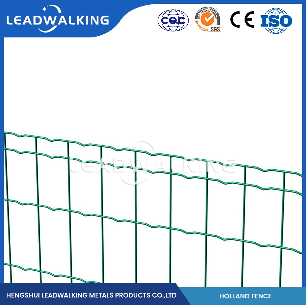 Leadwalking Plastic Power Coated Welded Wire Mesh Factory High-Quality Powder-Coatedpvc Coated Dutch Wire Mesh Fencing China 2"X3" Inch Holland Dutch Wire Mesh