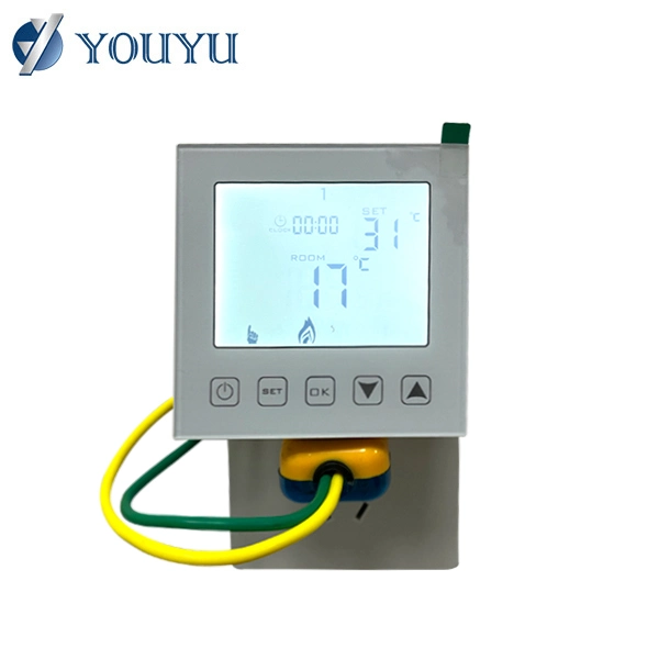 2022 Digital Water Heater Thermostat