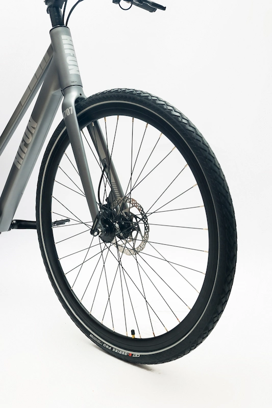 Éteignez le frein à disque hydraulique du vélo électrique 36V pour homme/femme.