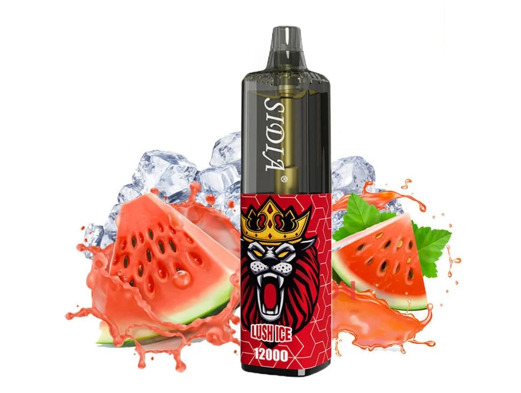 Factory Direct Fruit Flavor Sidia 12000puffs 8000 10000 12000 Tornado Randm Wholesale I Vape Pen