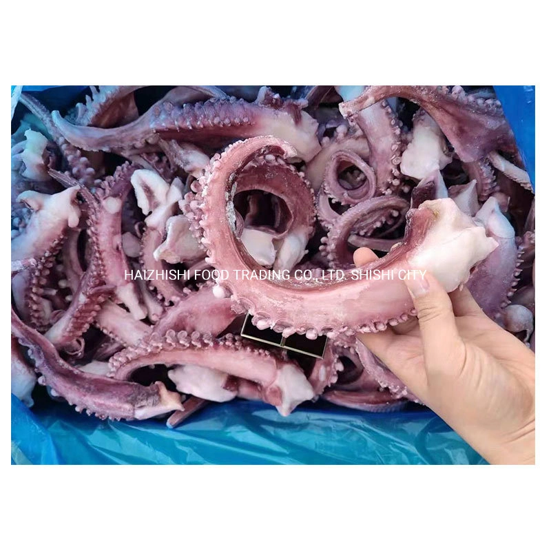 Good Tentacle of Squid 40% Glazing Boiled Frozen Giant Squid Tentacles