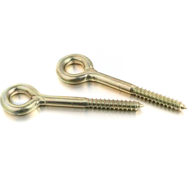 AISI304 316 Stainless Steel Eye Bolts Eye Lag Hooks Thread Screw Eye for Wood