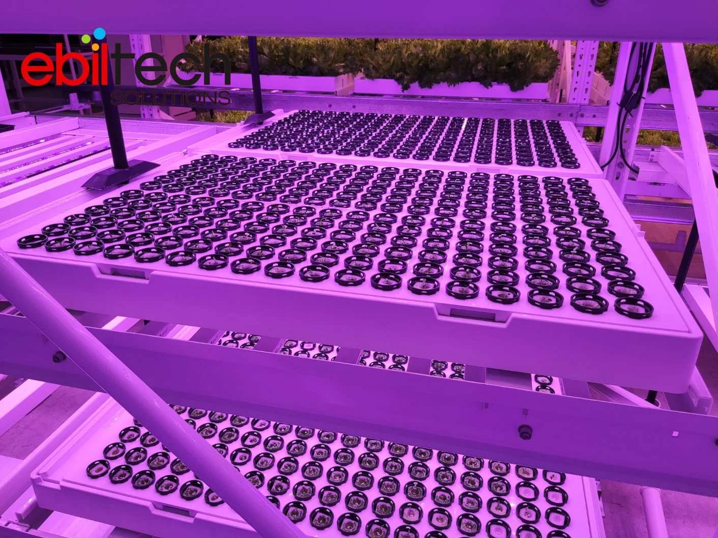 Fábrica automática de plantas sistema automático de Racking estanterías automatizadas de plantas Racking Sistema de Cultura sin soas