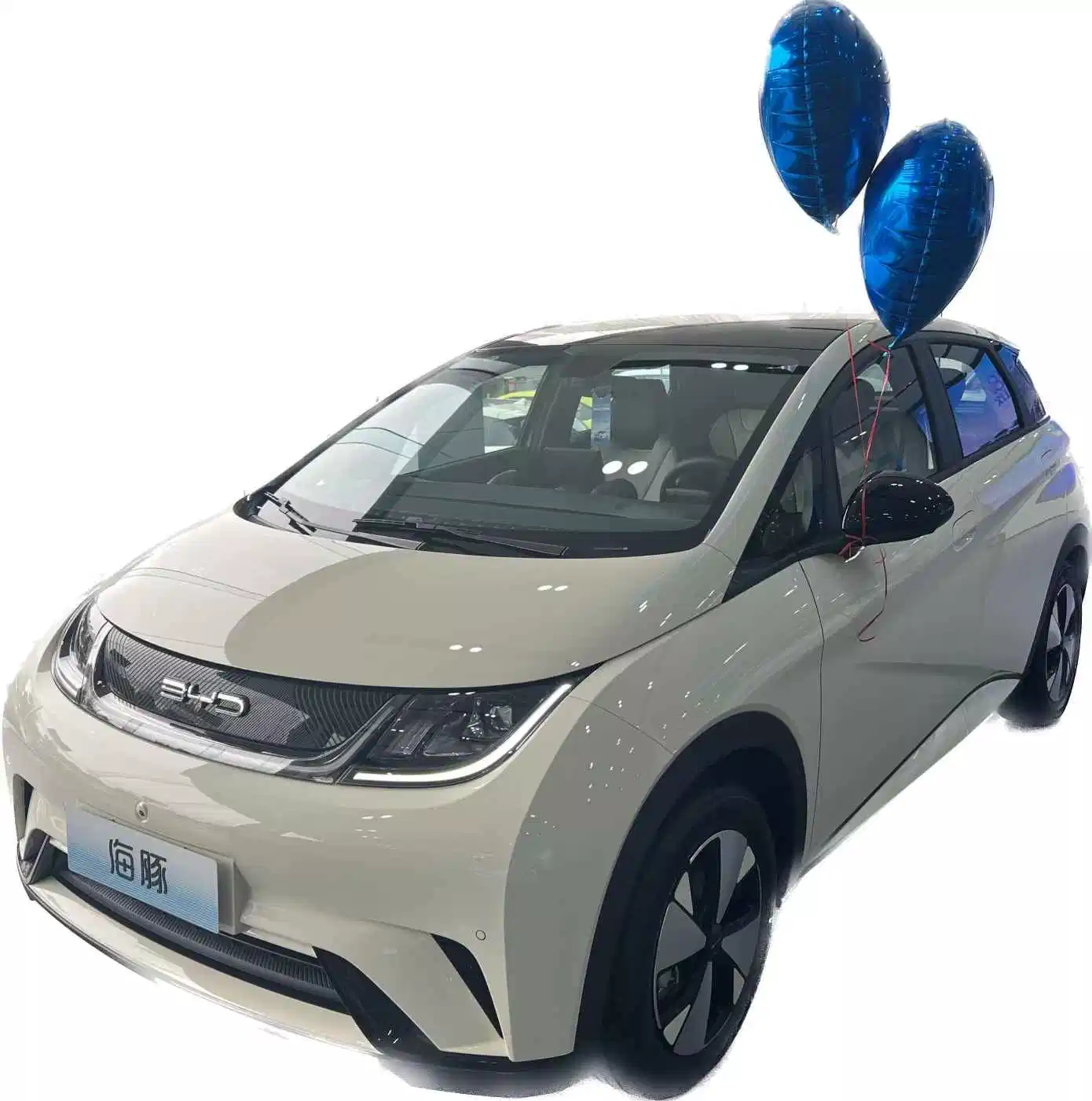 BYD Dolphin Chine EV véhicule 2023 Prix bas Promotions Nouveau Vente en gros de véhicules électriques bon marché automobile automobile EV